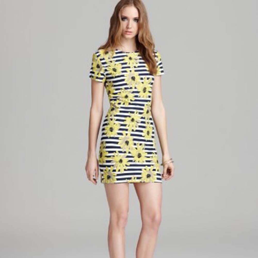 French Connection Striped Sunflower Dress 🌻